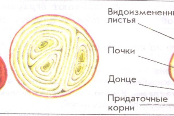 Ссылка на магазин кракен