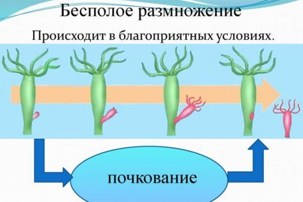 Ссылка кракен магазин